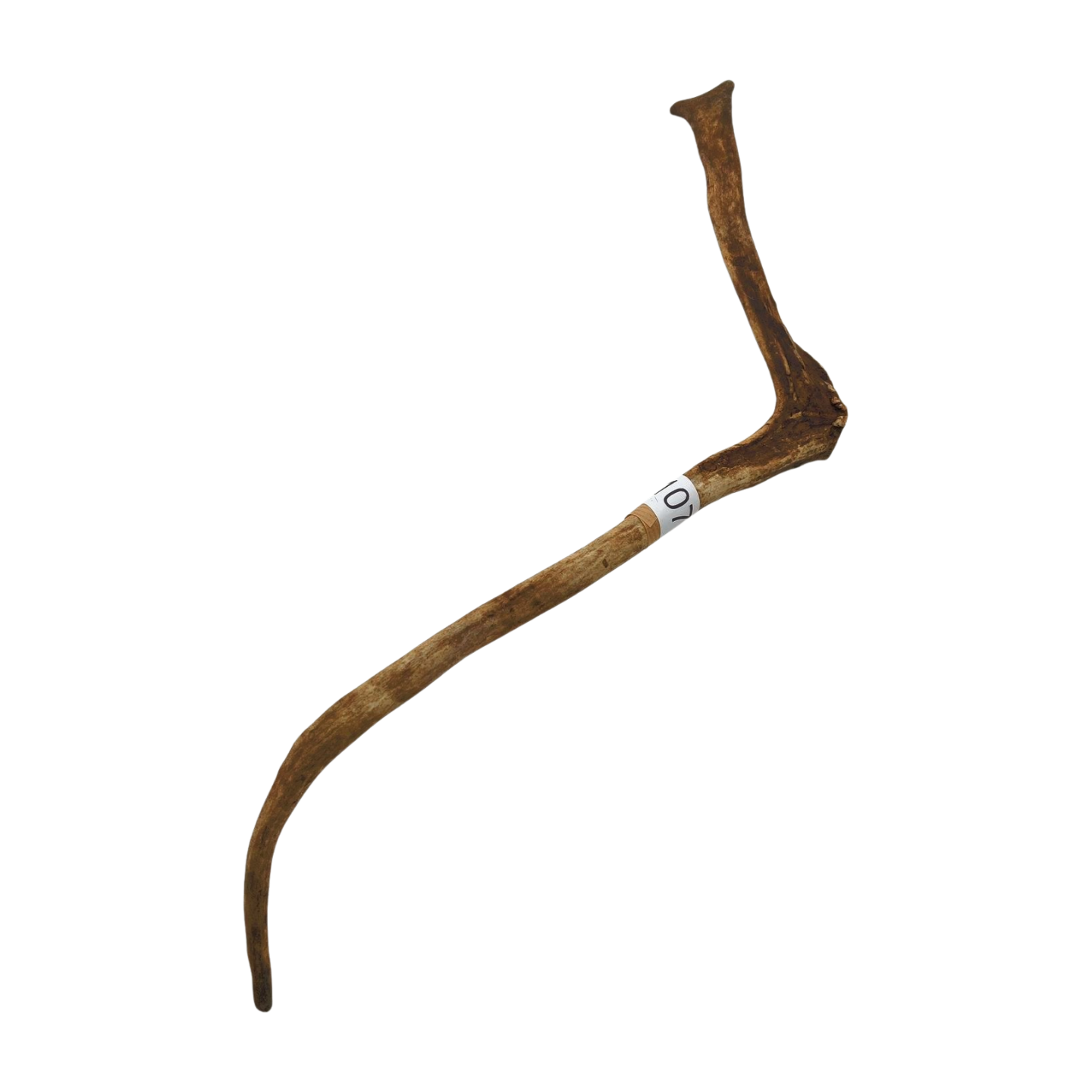 Välj ditt eget renhorn