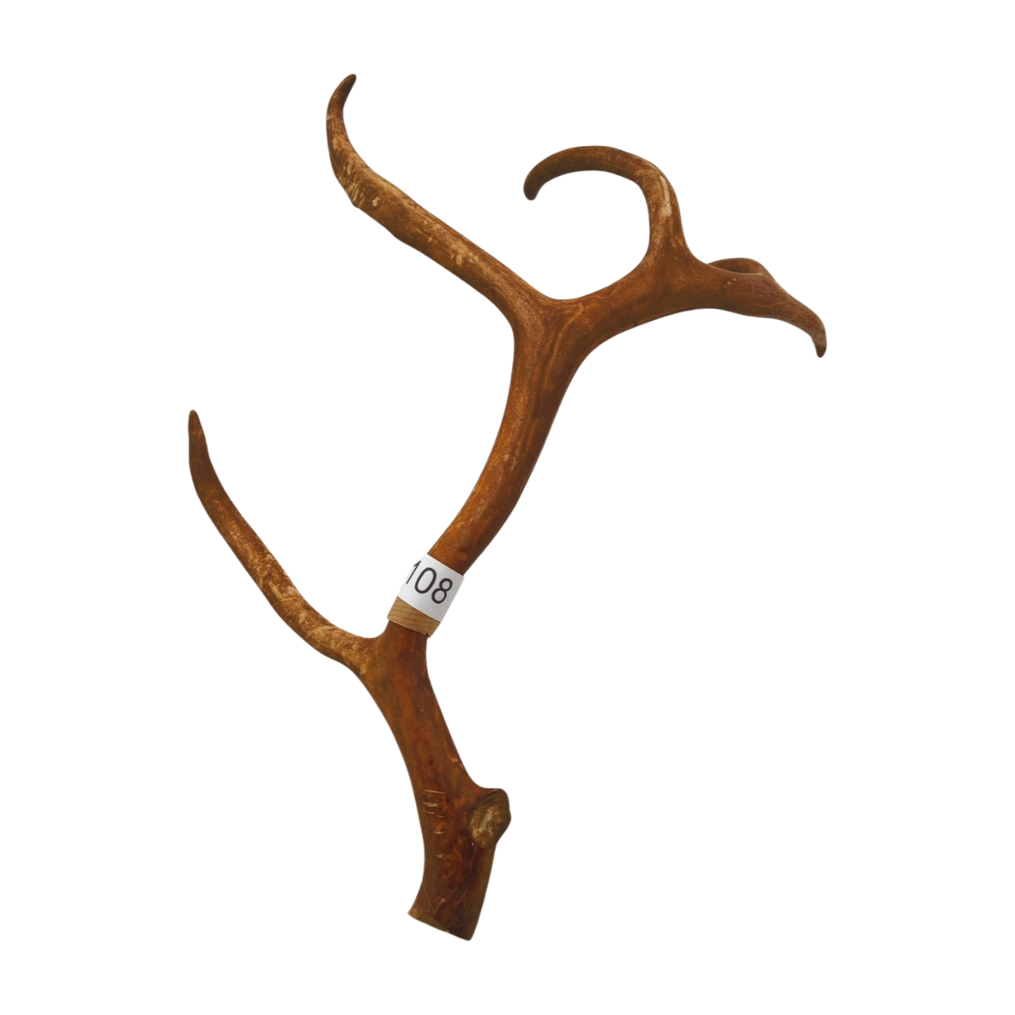 Välj ditt eget renhorn