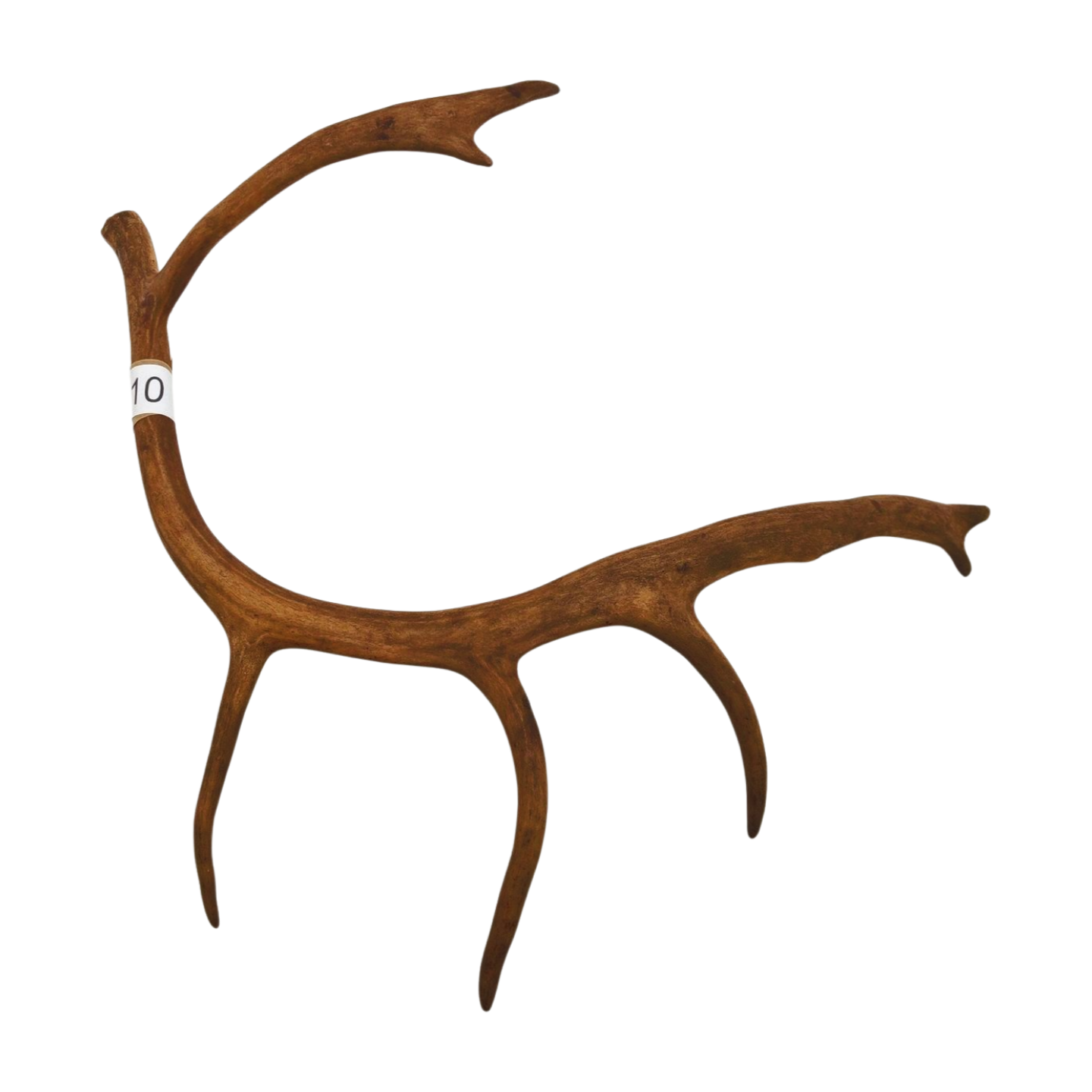 Välj ditt eget renhorn