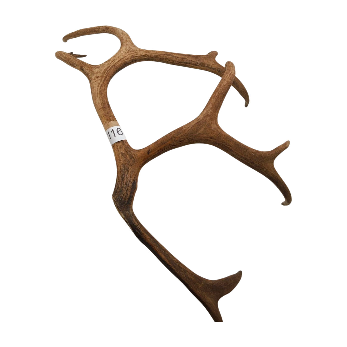 Välj ditt eget renhorn