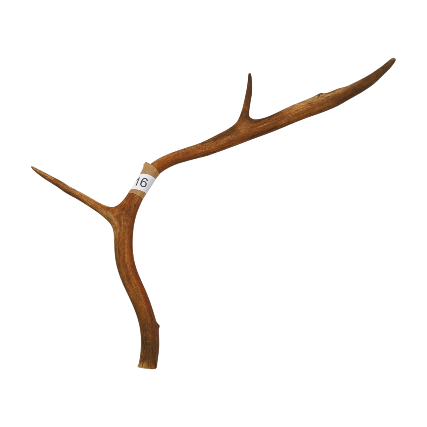 Välj ditt eget renhorn