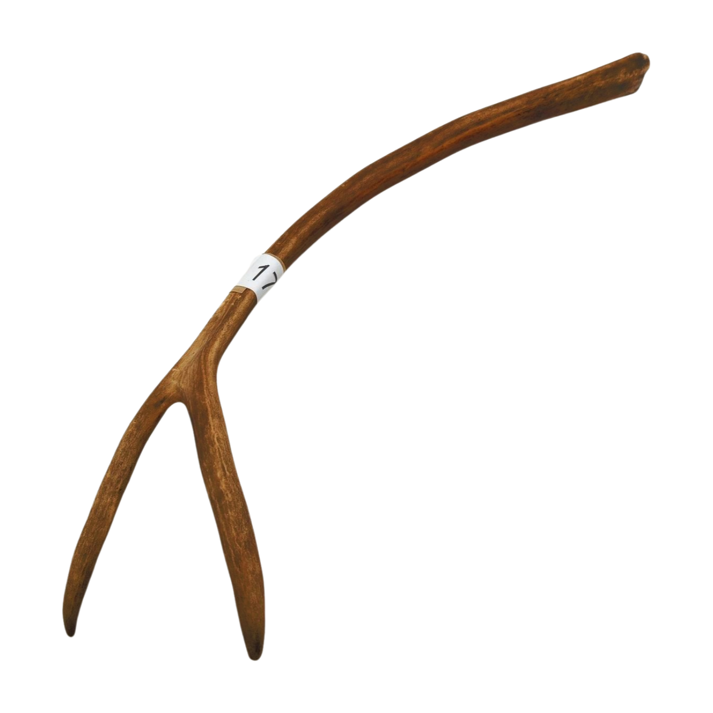 Välj ditt eget renhorn