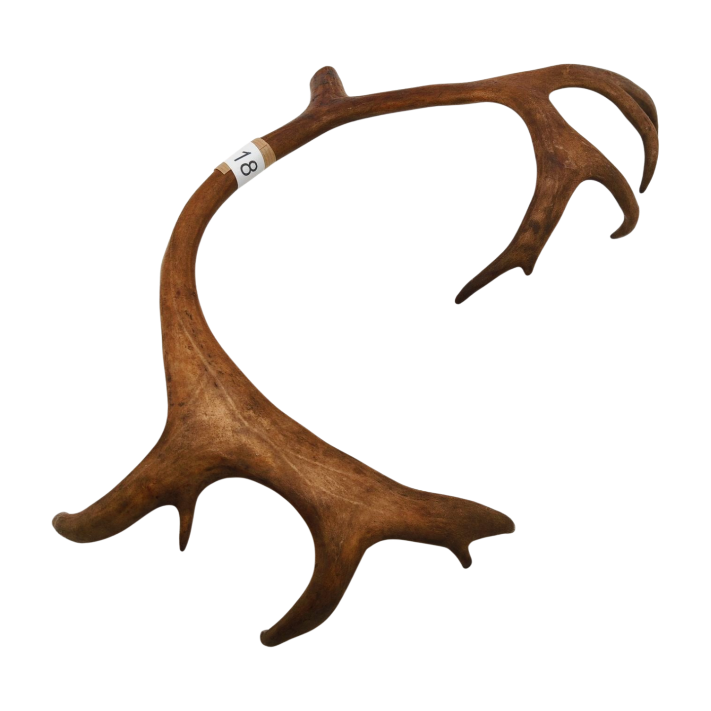 Välj ditt eget renhorn