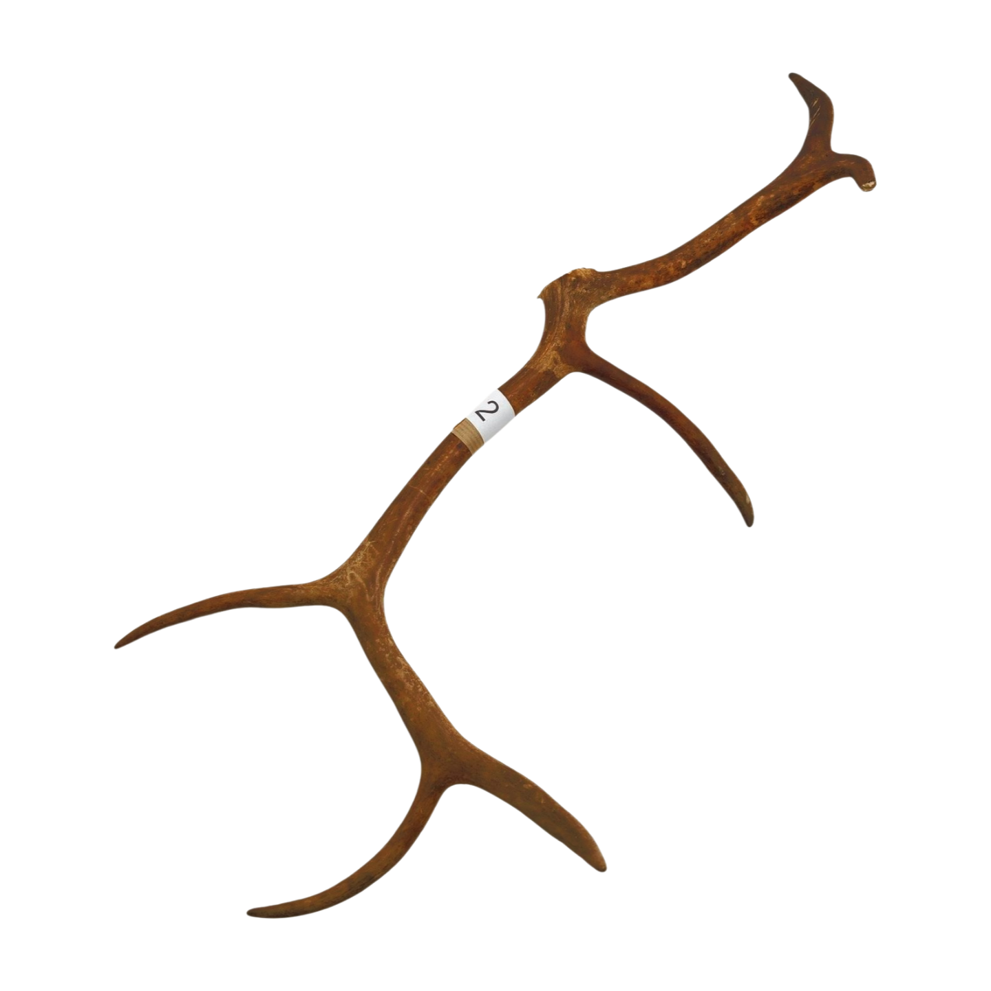 Välj ditt eget renhorn