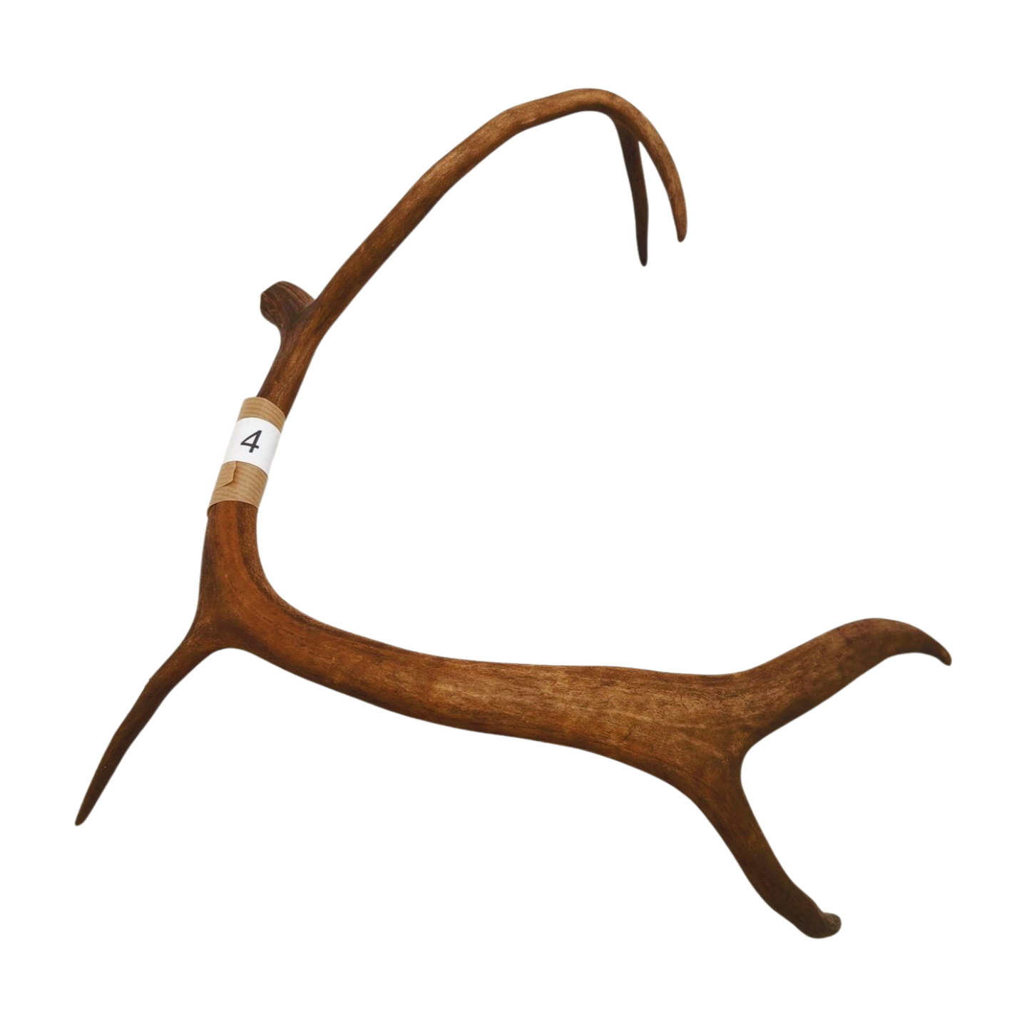 Välj ditt eget renhorn