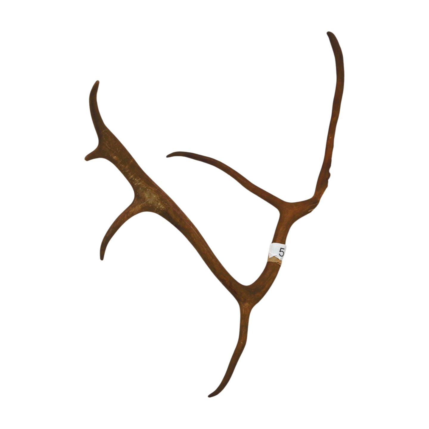 Välj ditt eget renhorn