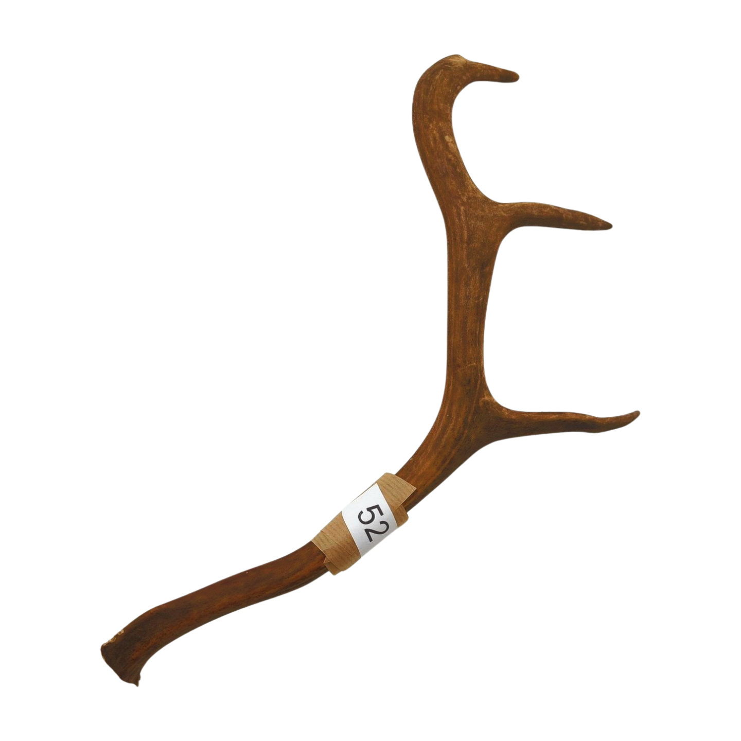 Välj ditt eget renhorn