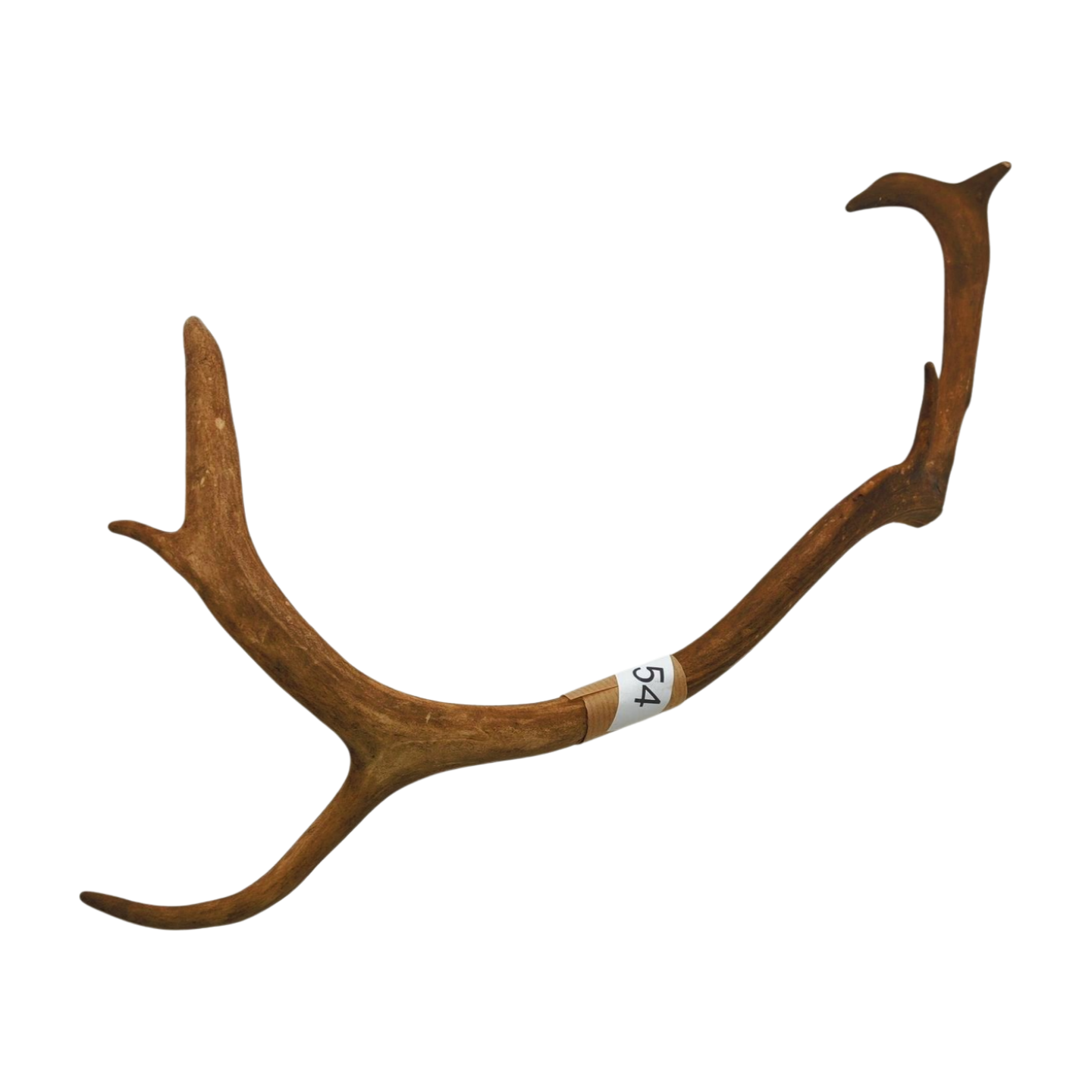 Välj ditt eget renhorn