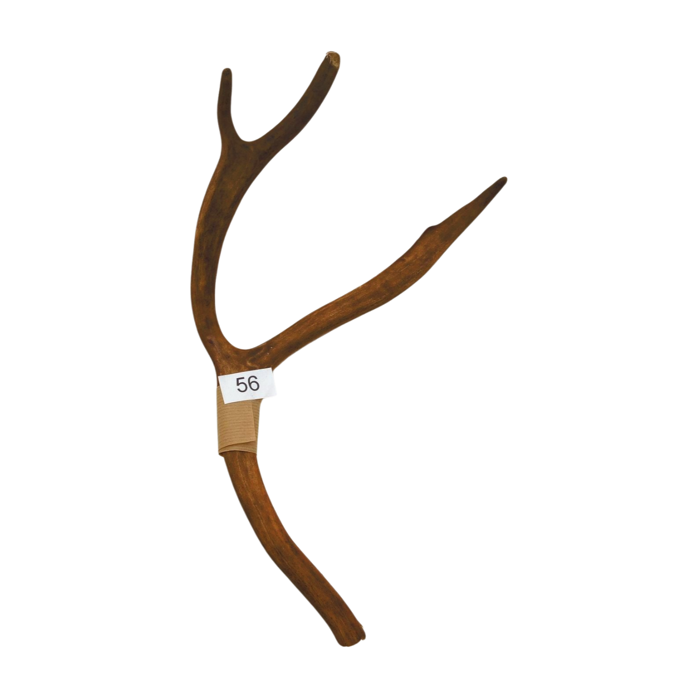 Välj ditt eget renhorn