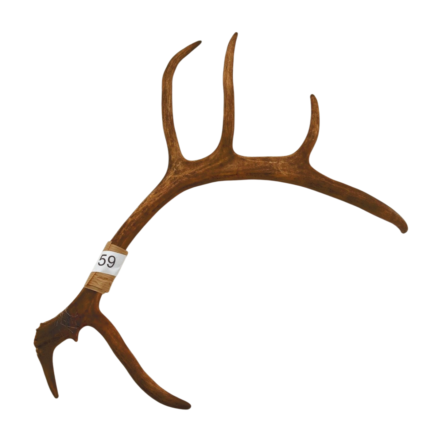 Välj ditt eget renhorn