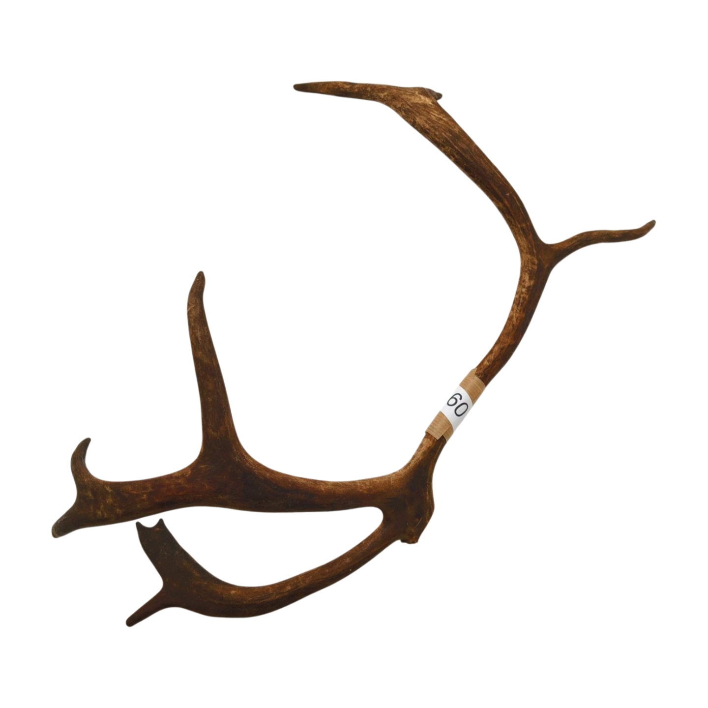 Välj ditt eget renhorn