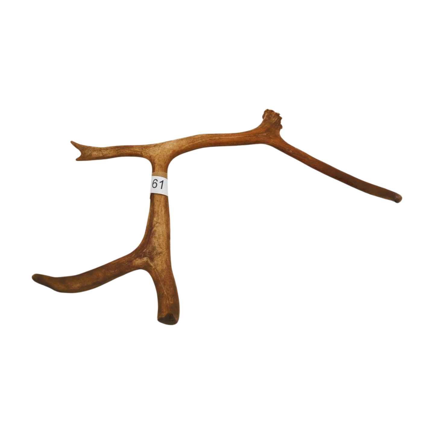 Välj ditt eget renhorn