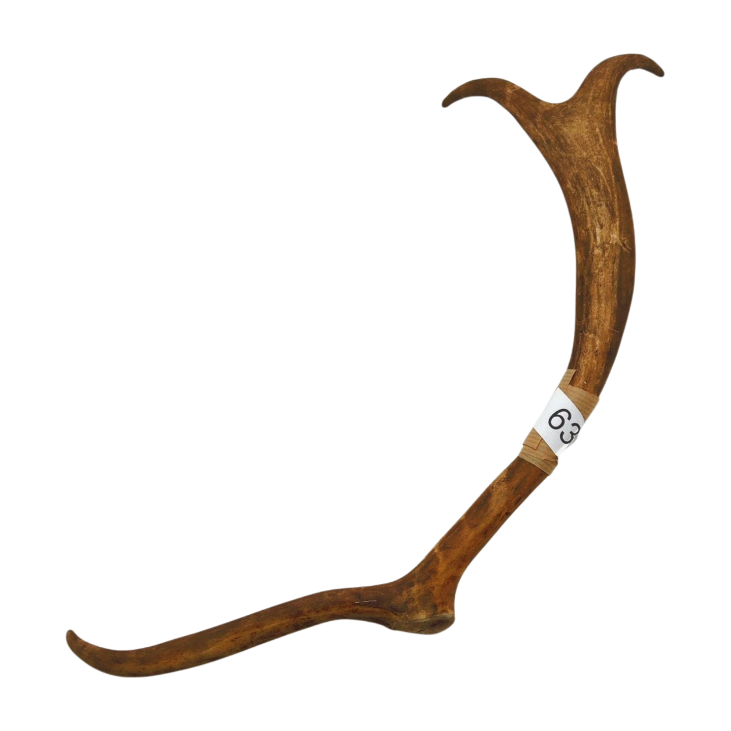 Välj ditt eget renhorn