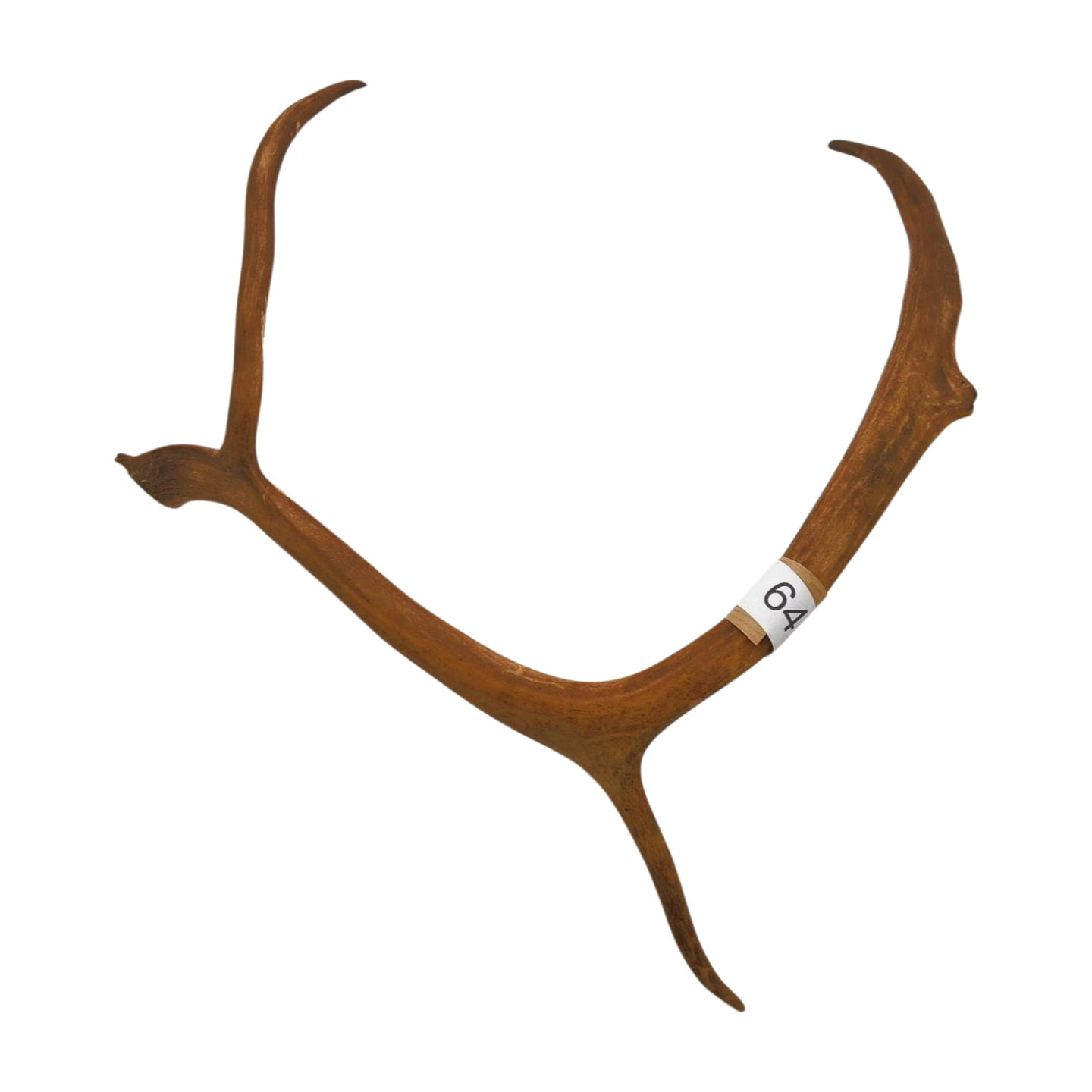 Välj ditt eget renhorn