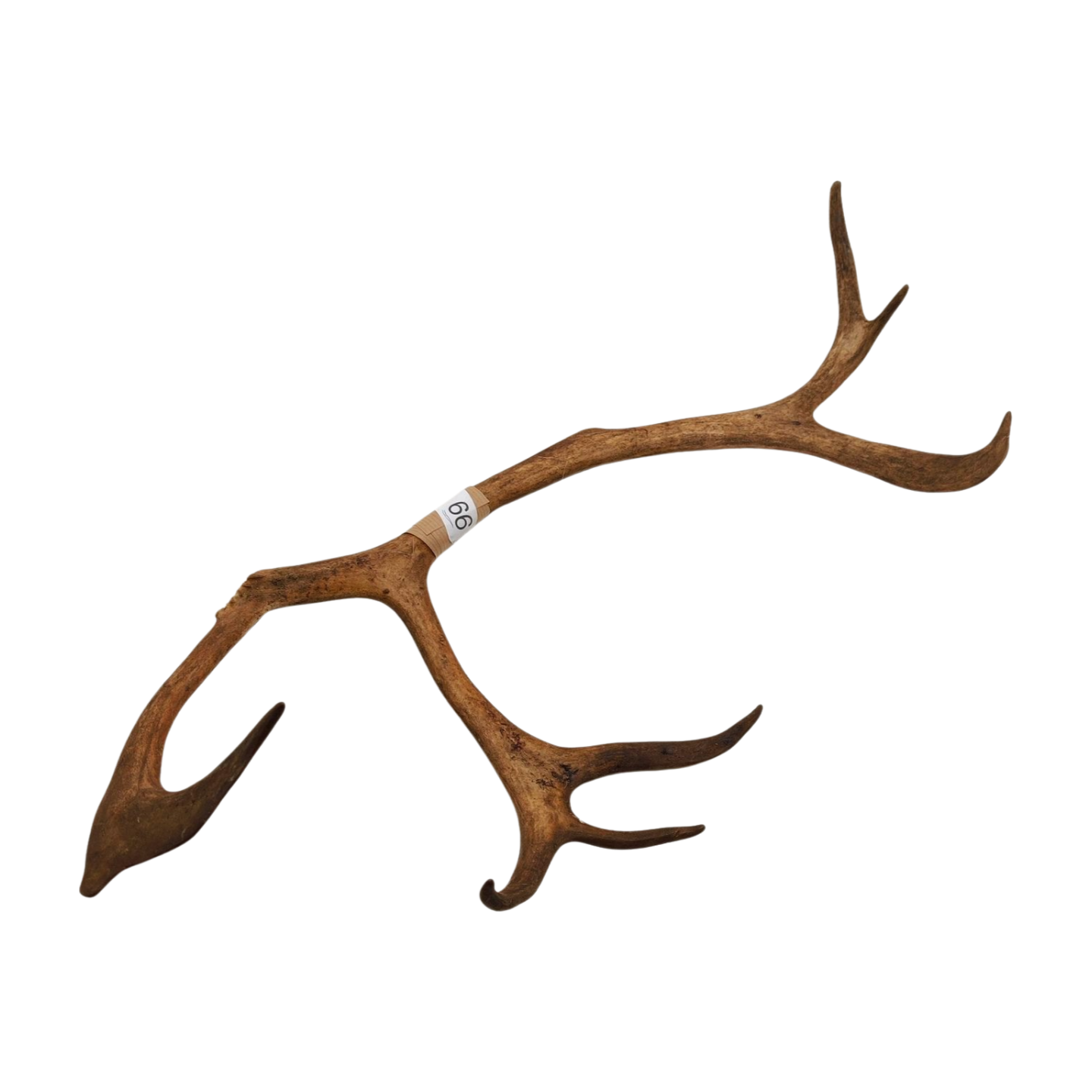 Välj ditt eget renhorn