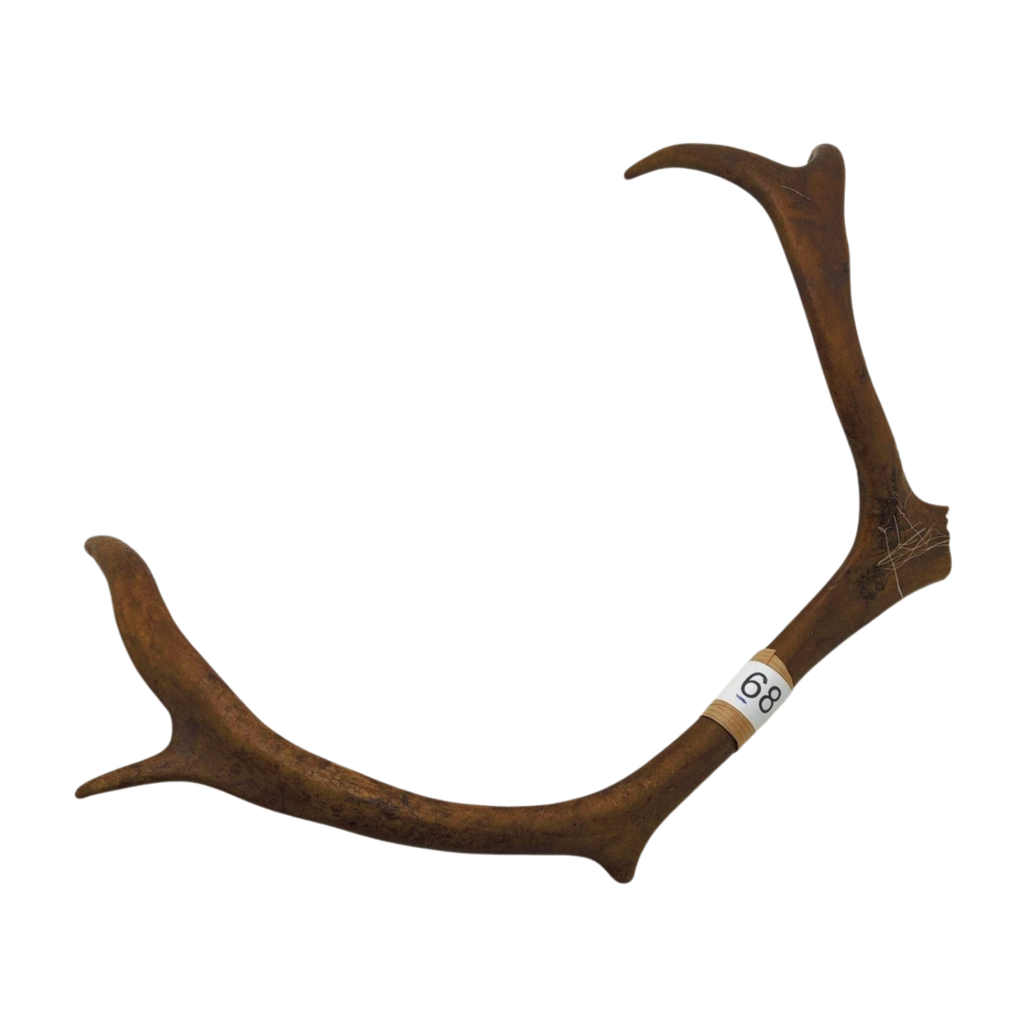 Välj ditt eget renhorn