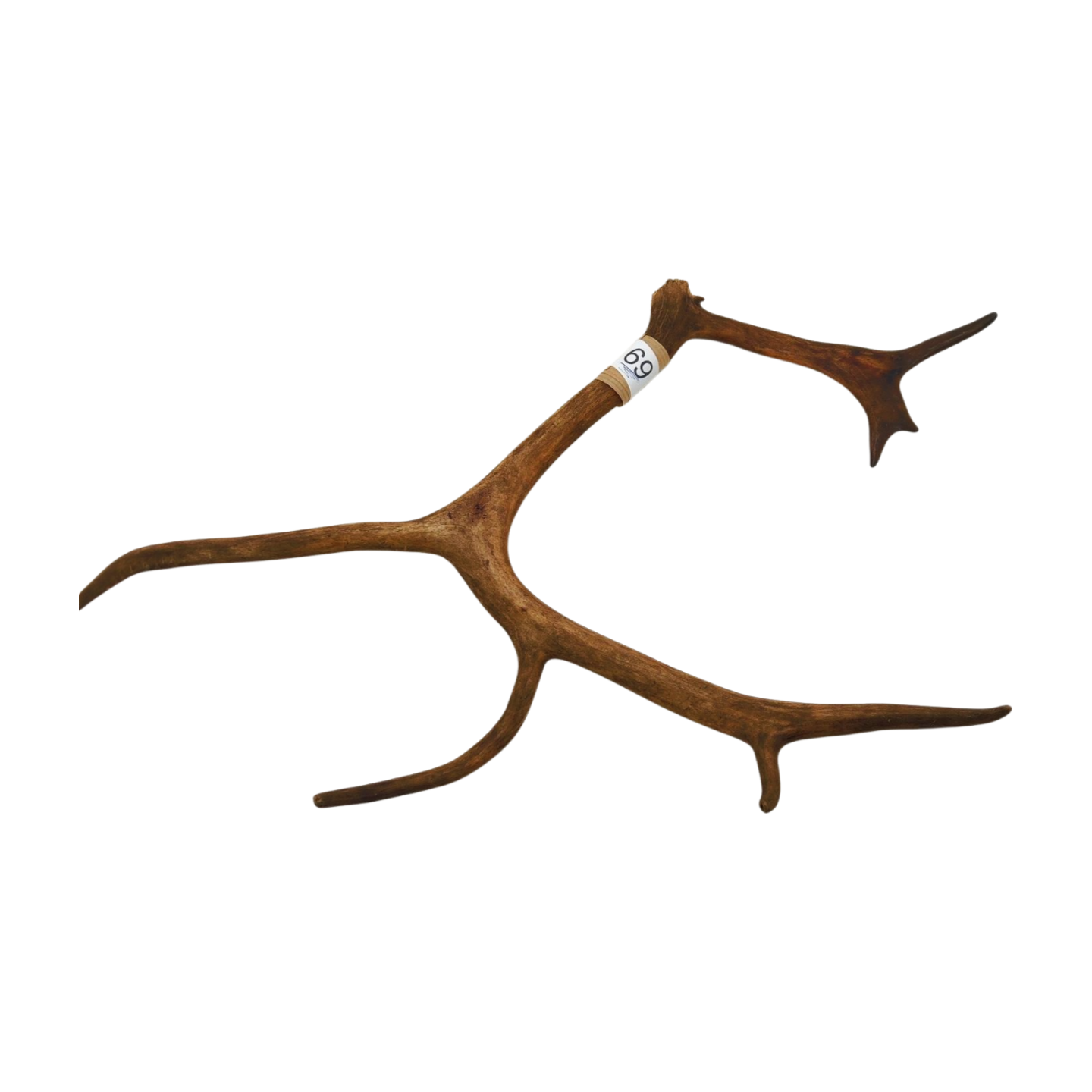 Välj ditt eget renhorn