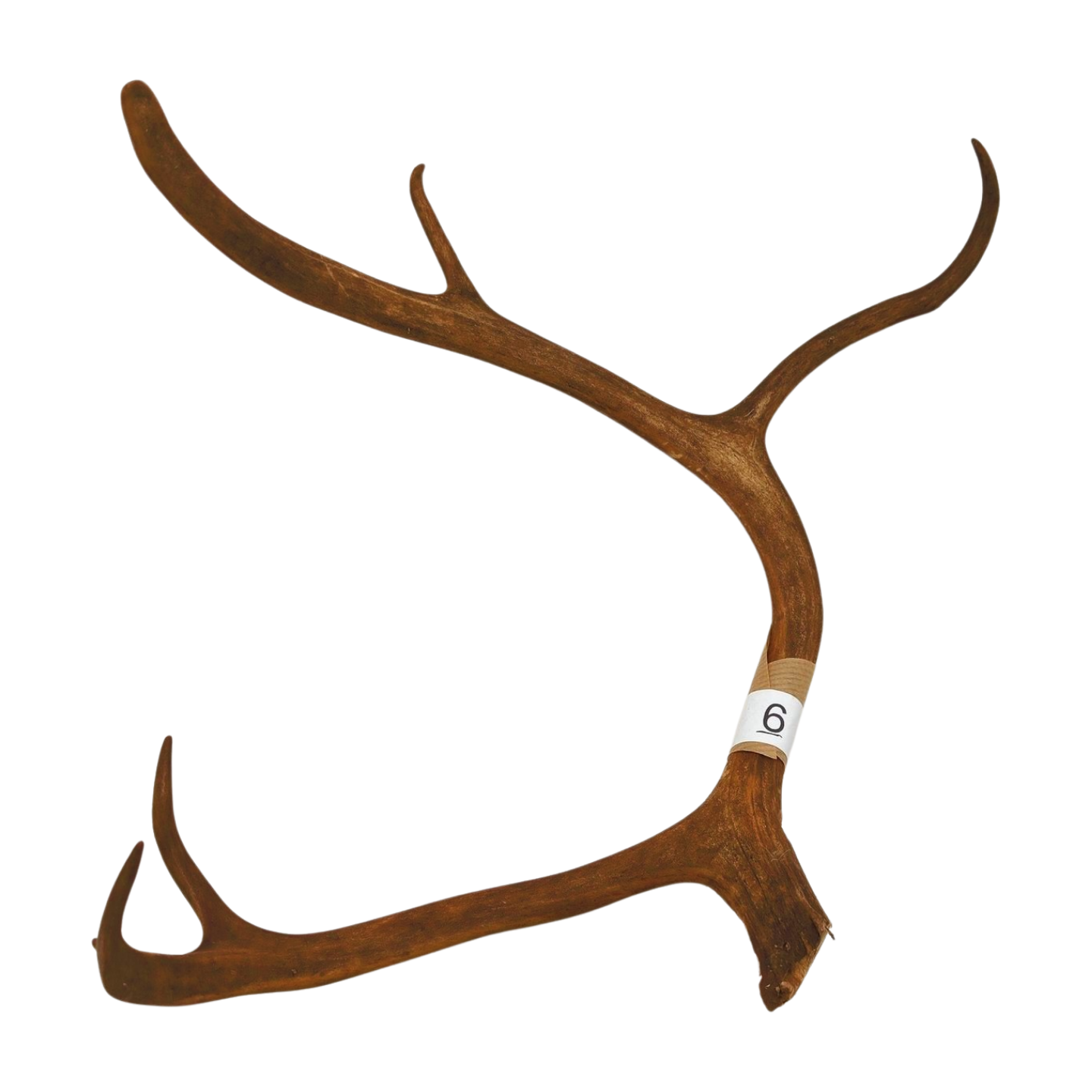 Välj ditt eget renhorn