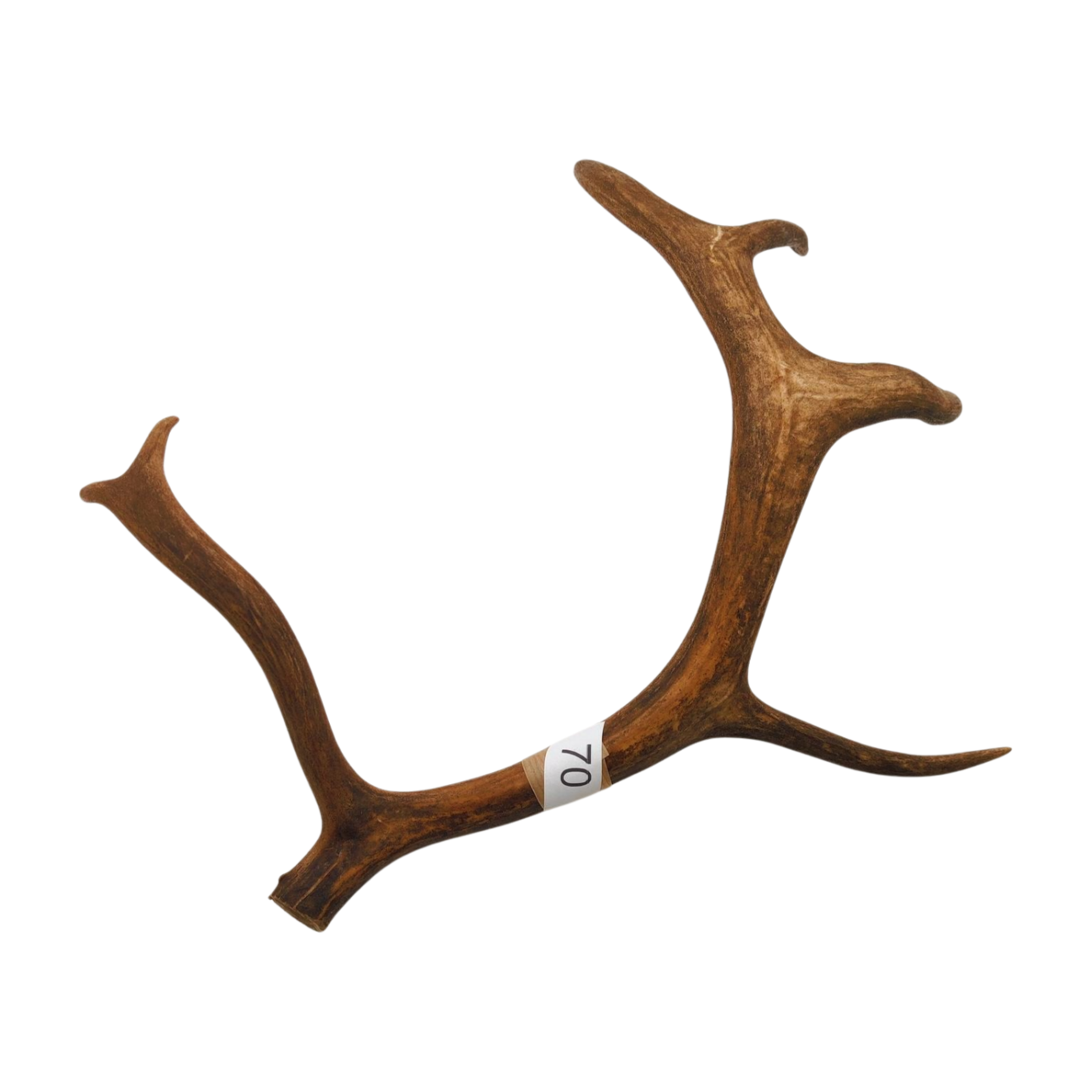 Välj ditt eget renhorn