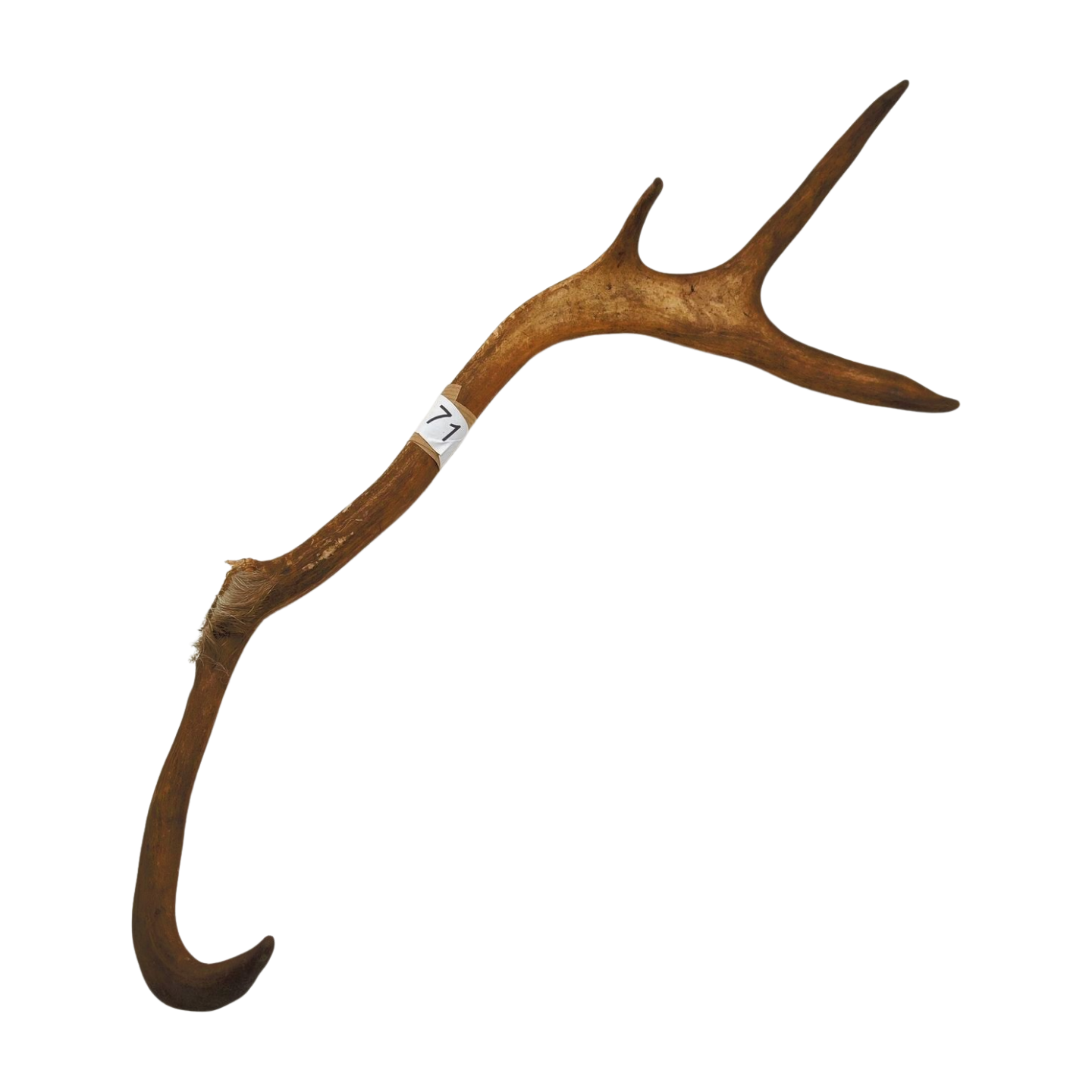 Välj ditt eget renhorn