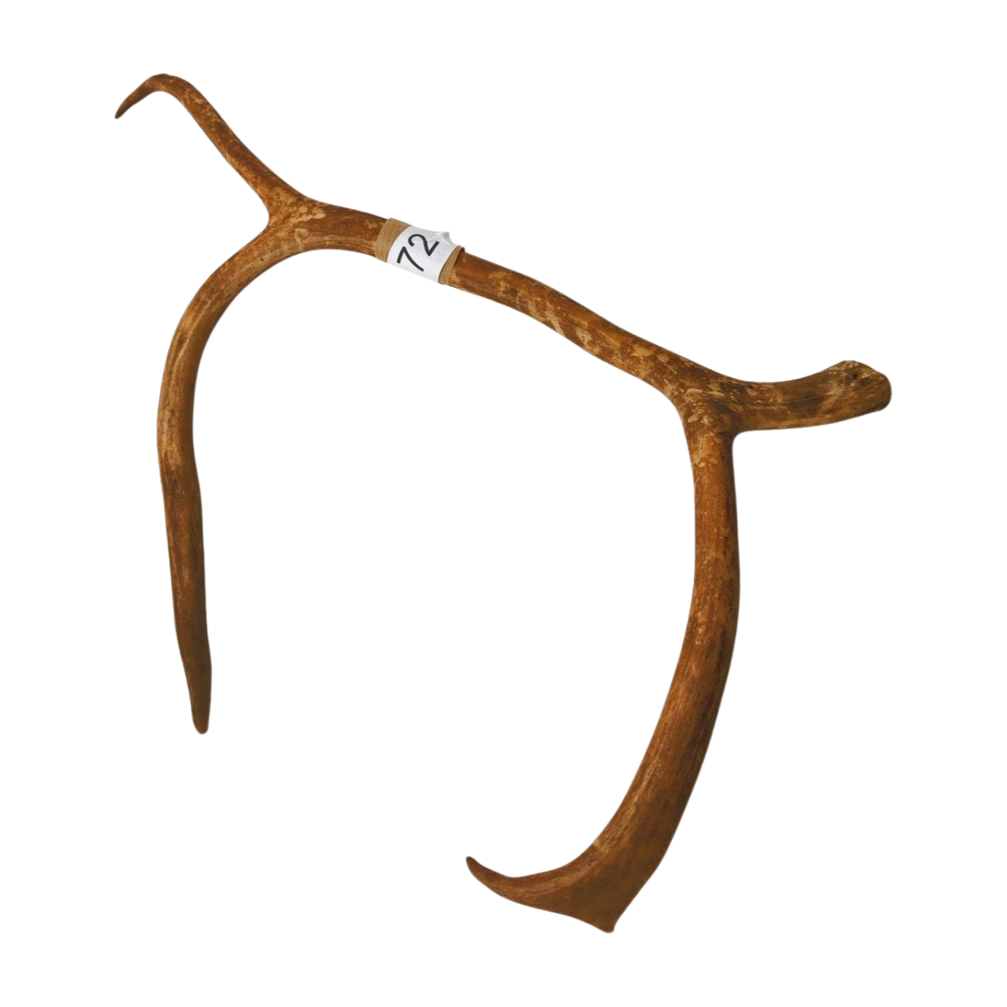 Välj ditt eget renhorn