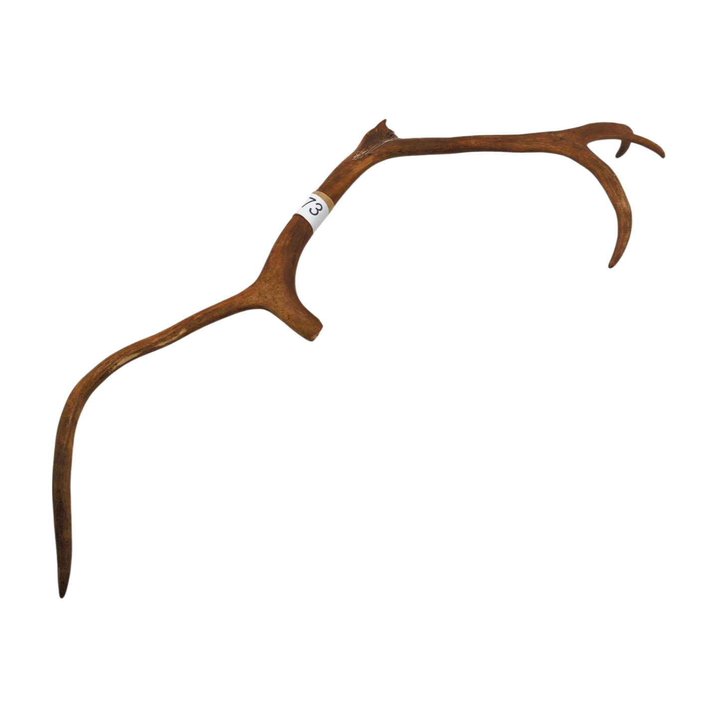 Välj ditt eget renhorn