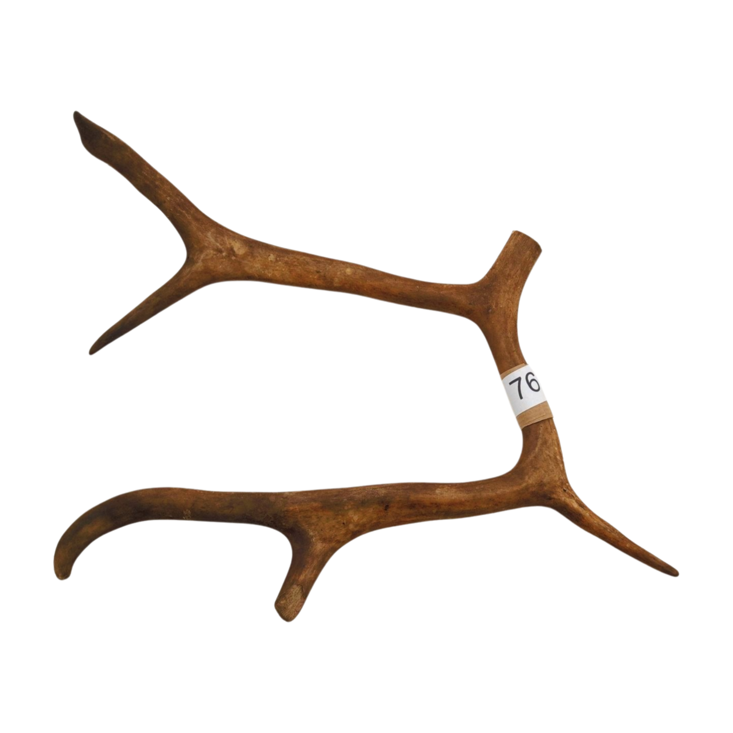 Välj ditt eget renhorn