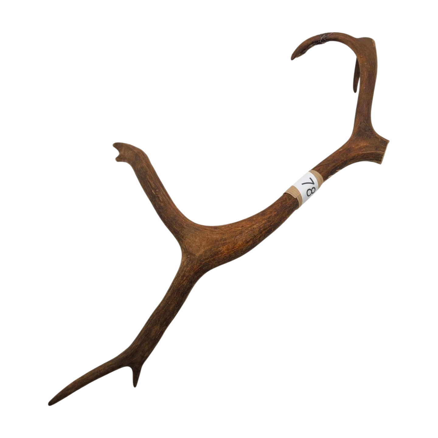 Välj ditt eget renhorn