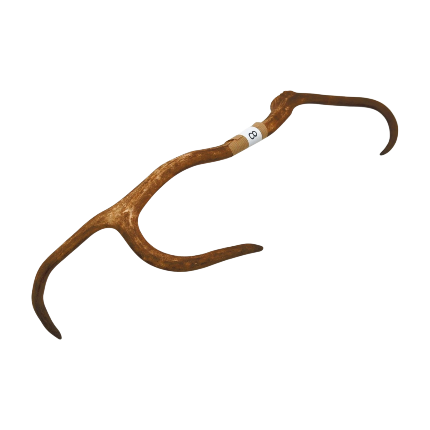 Välj ditt eget renhorn