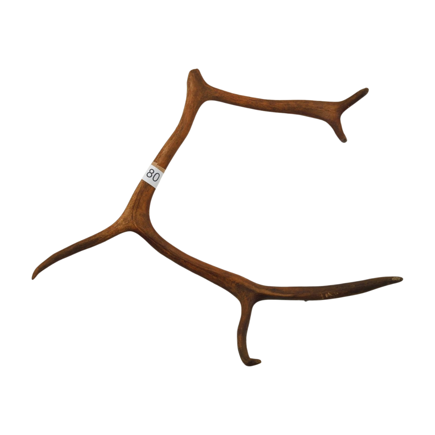 Välj ditt eget renhorn