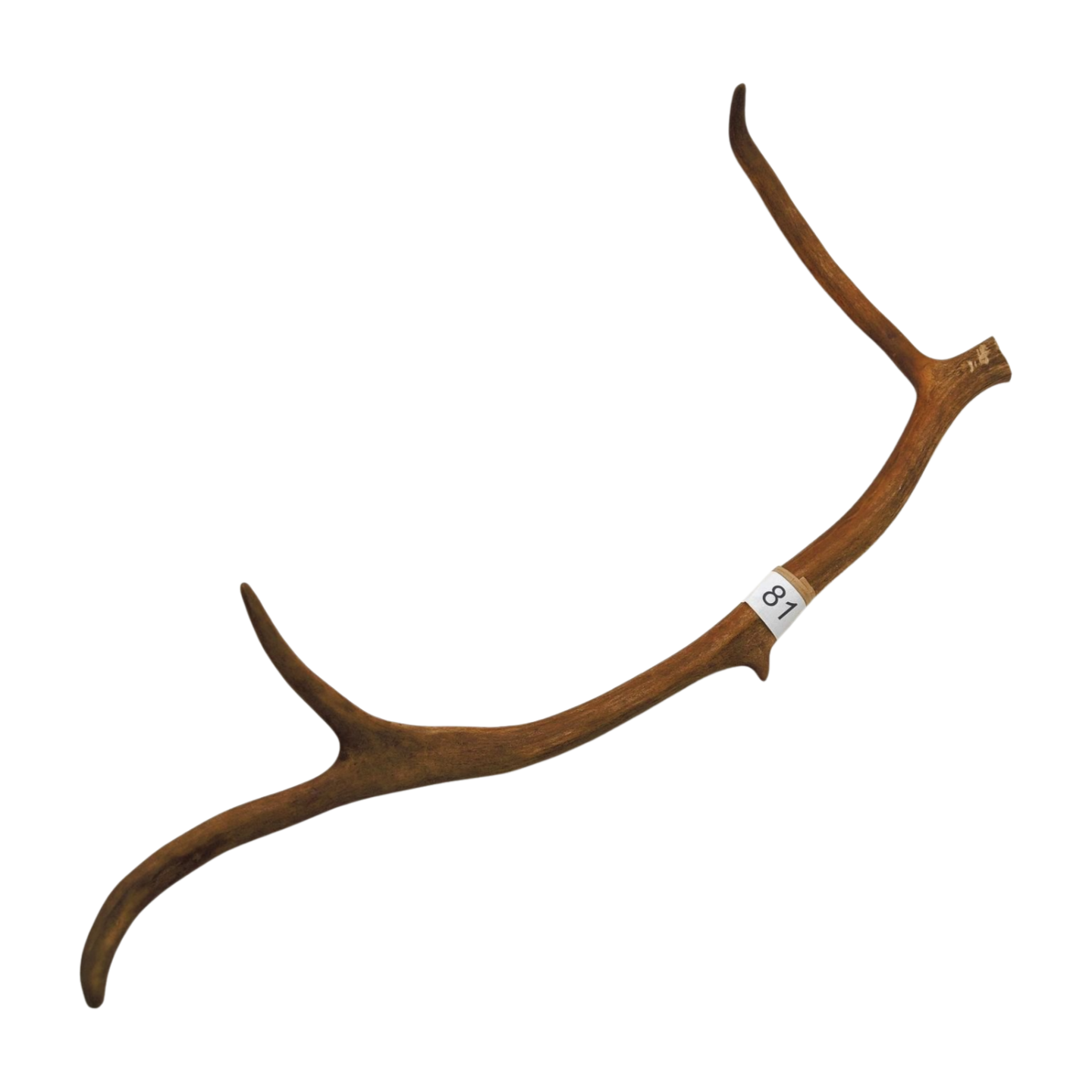 Välj ditt eget renhorn