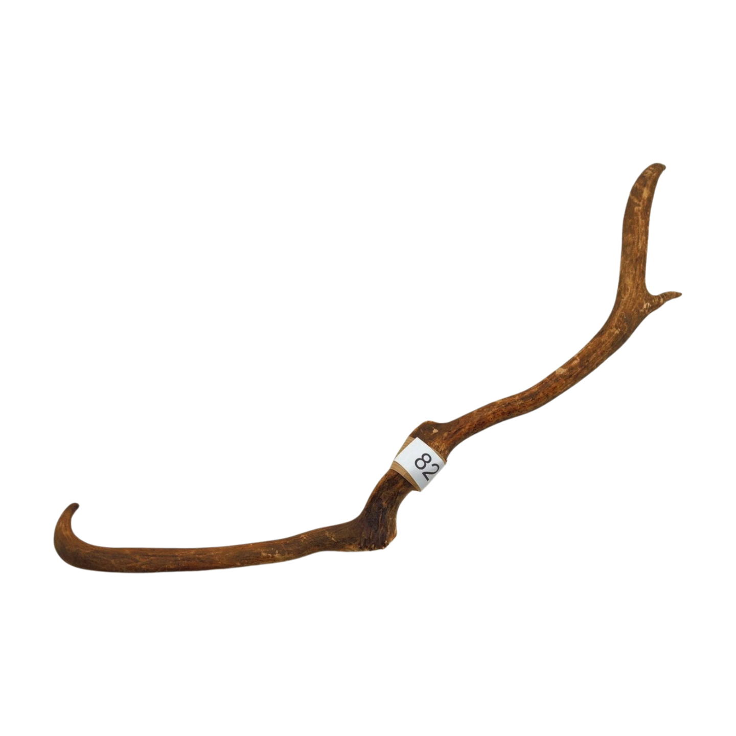 Välj ditt eget renhorn