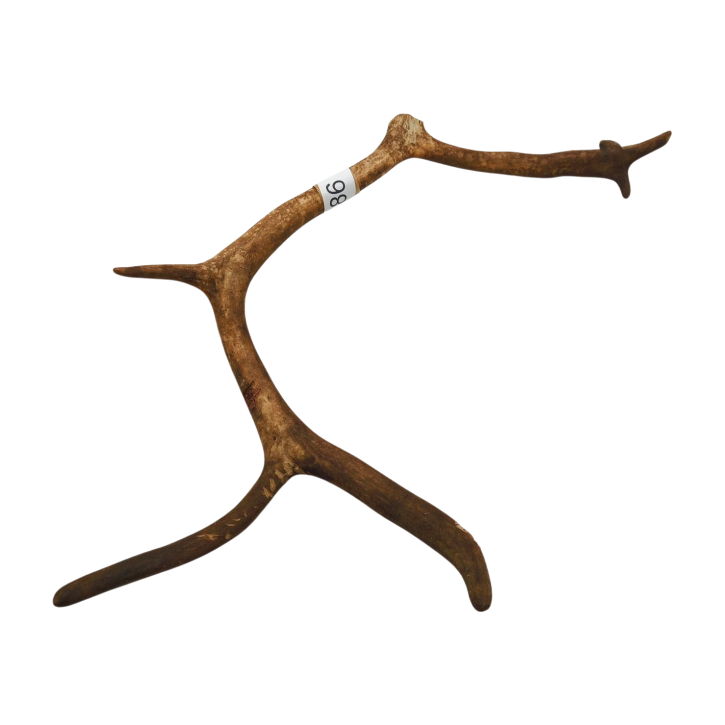 Välj ditt eget renhorn