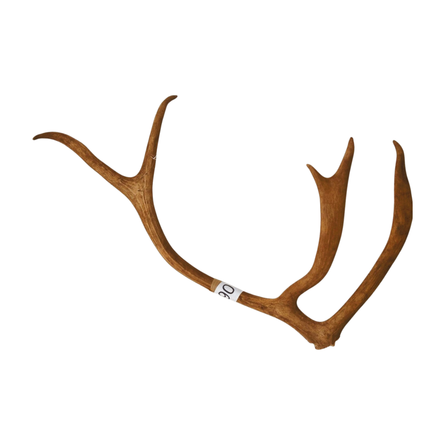 Välj ditt eget renhorn