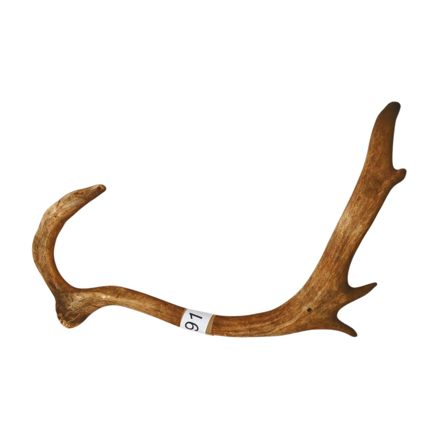 Välj ditt eget renhorn