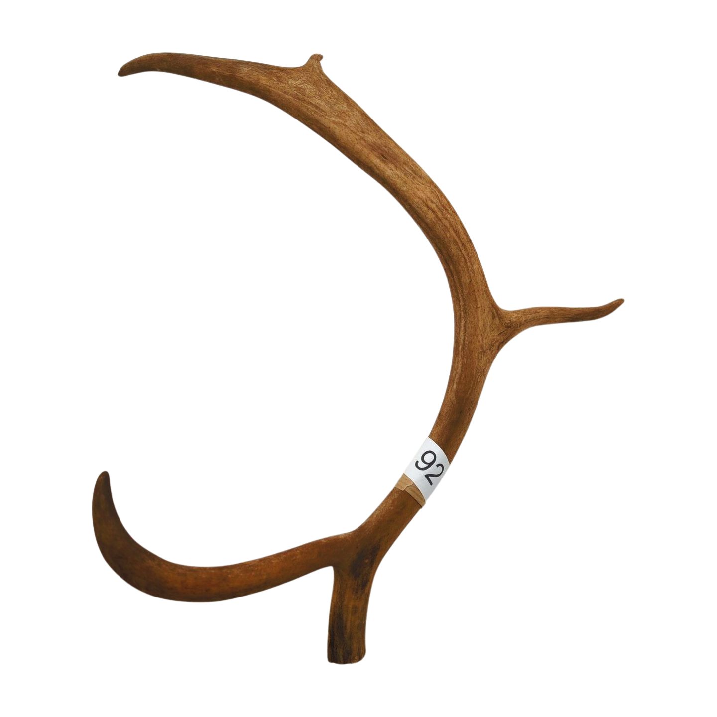 Välj ditt eget renhorn