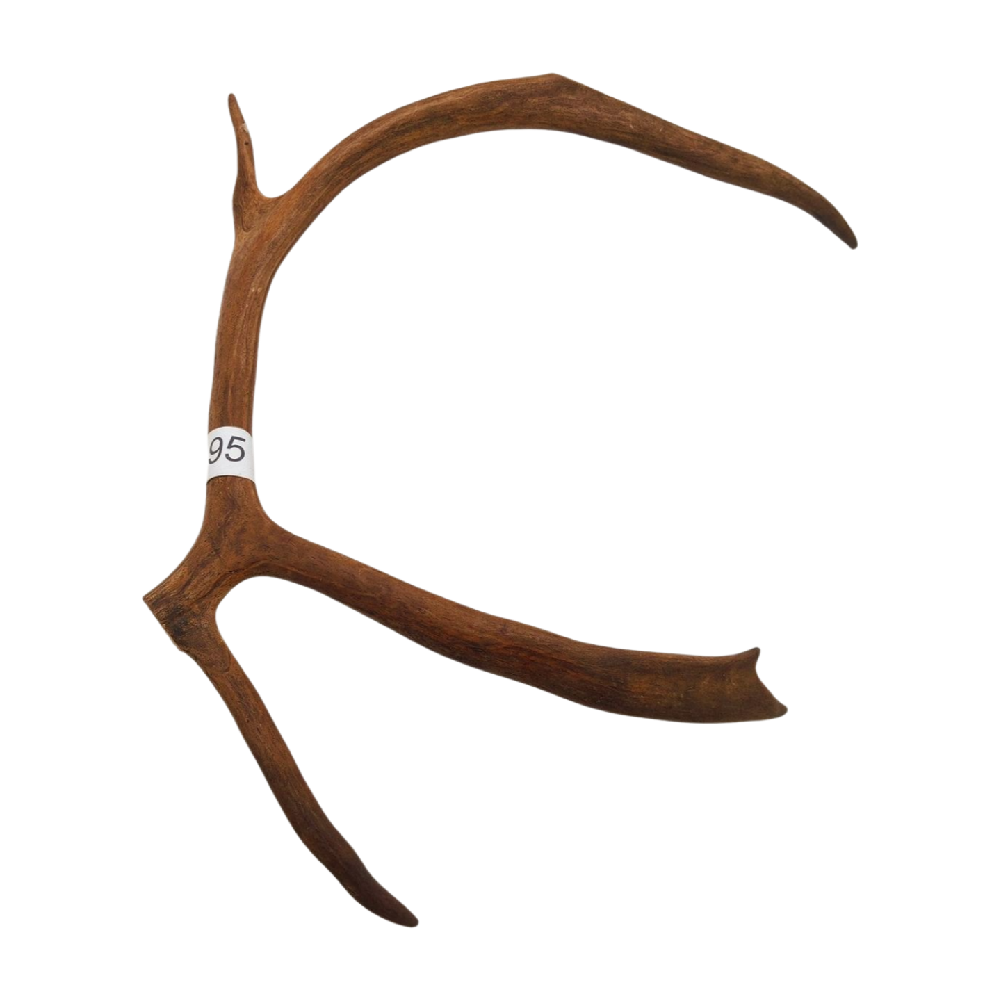 Välj ditt eget renhorn