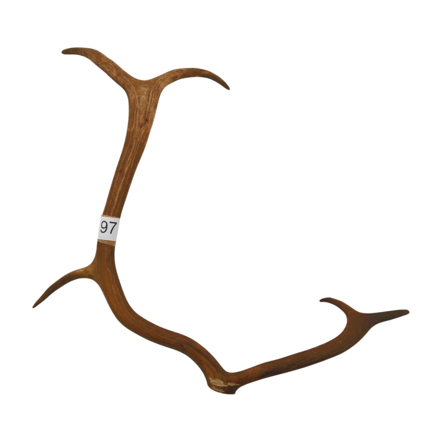 Välj ditt eget renhorn