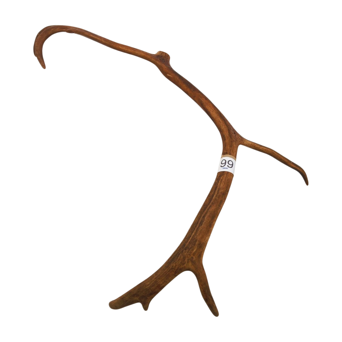 Välj ditt eget renhorn