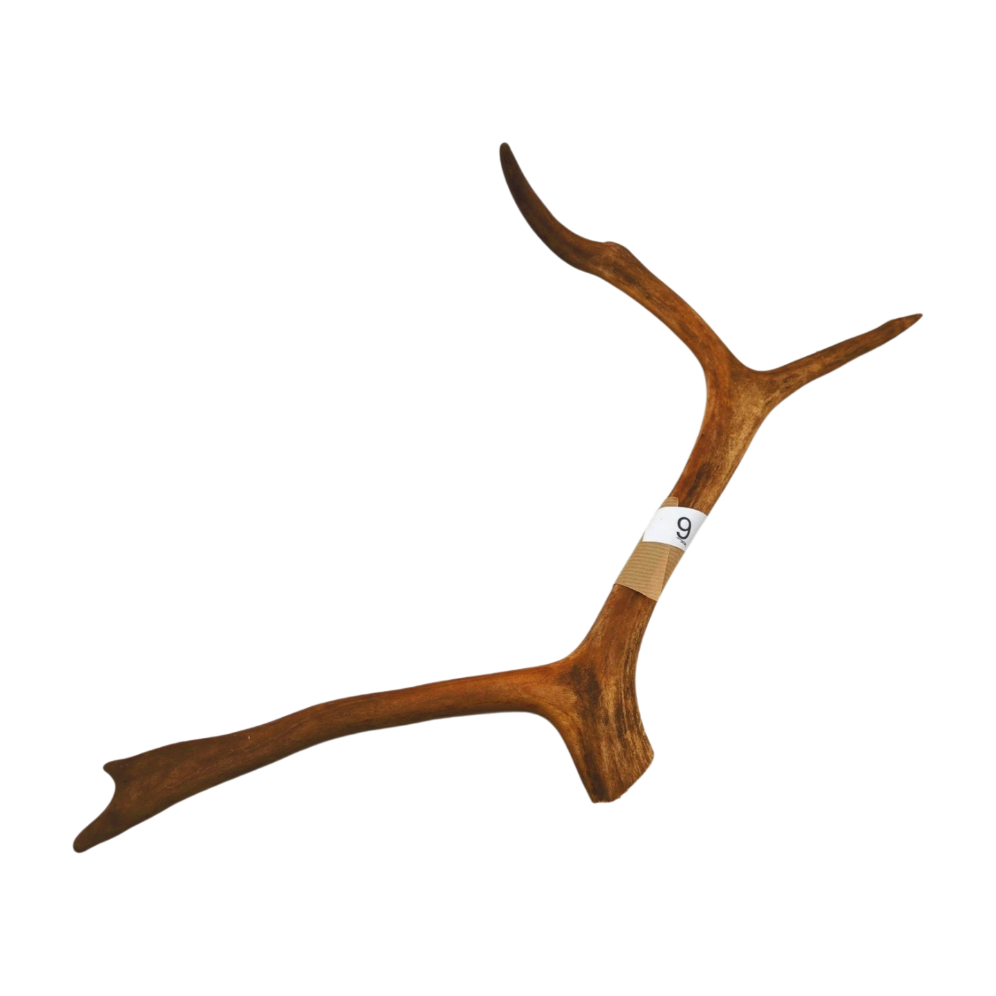 Välj ditt eget renhorn