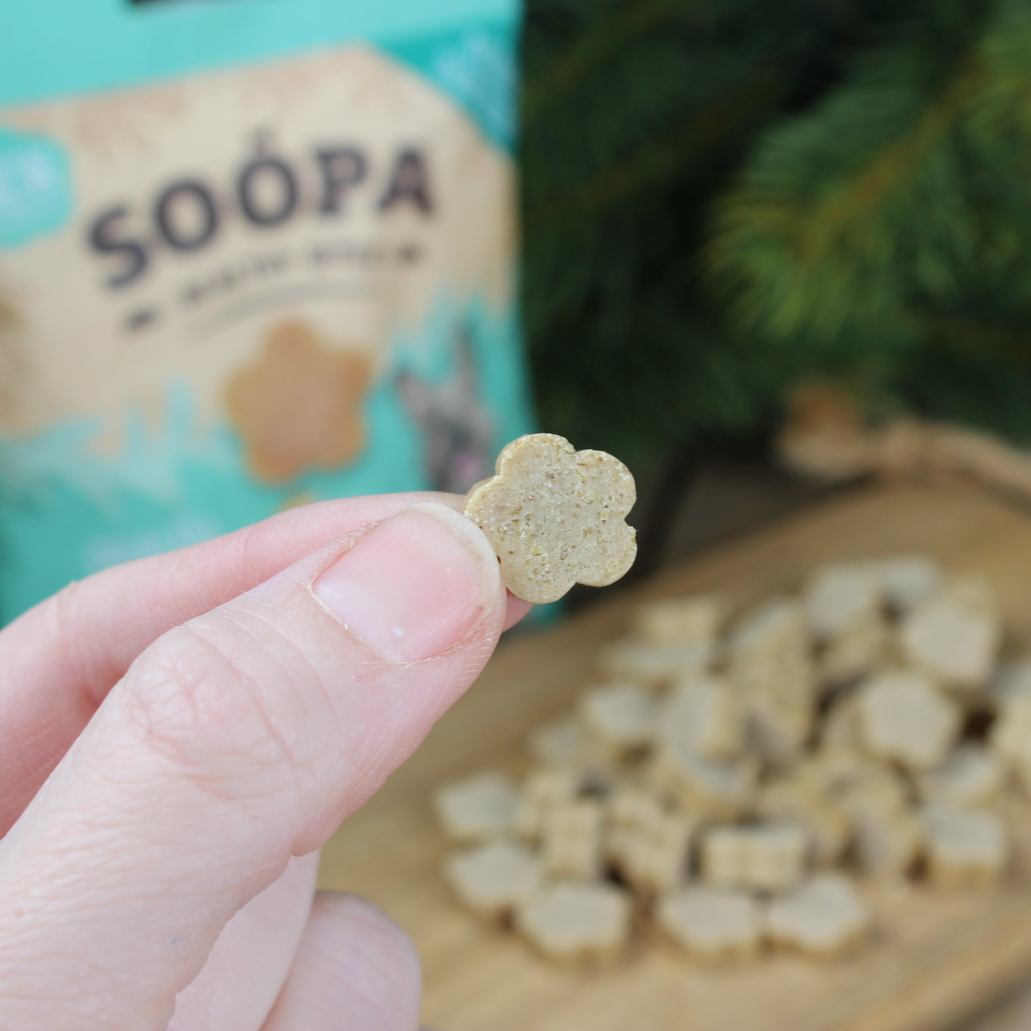 Soopa - Hundgodis | Paw-Na Colada, kokos och ananas (50g, 50 bitar)