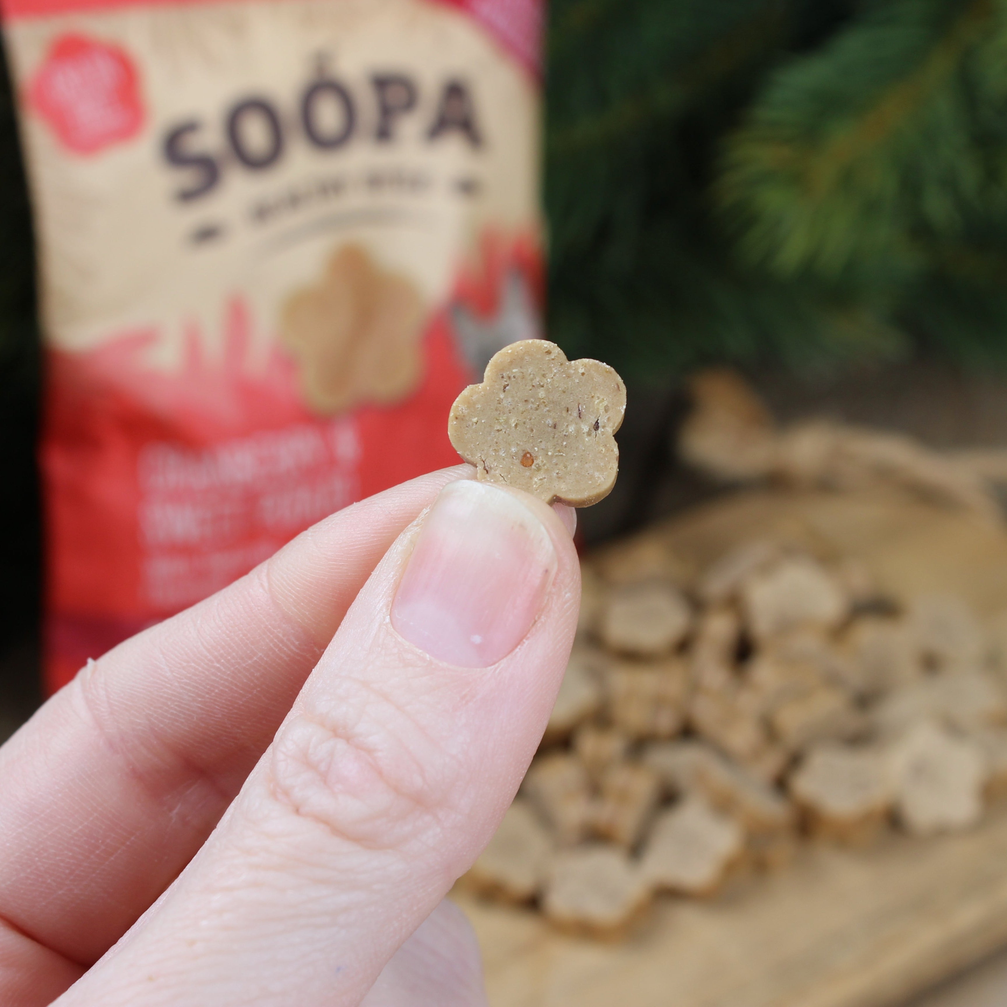 Soopa - Hundgodis | Tranbär och sötpotatis (50g, 50 bitar)