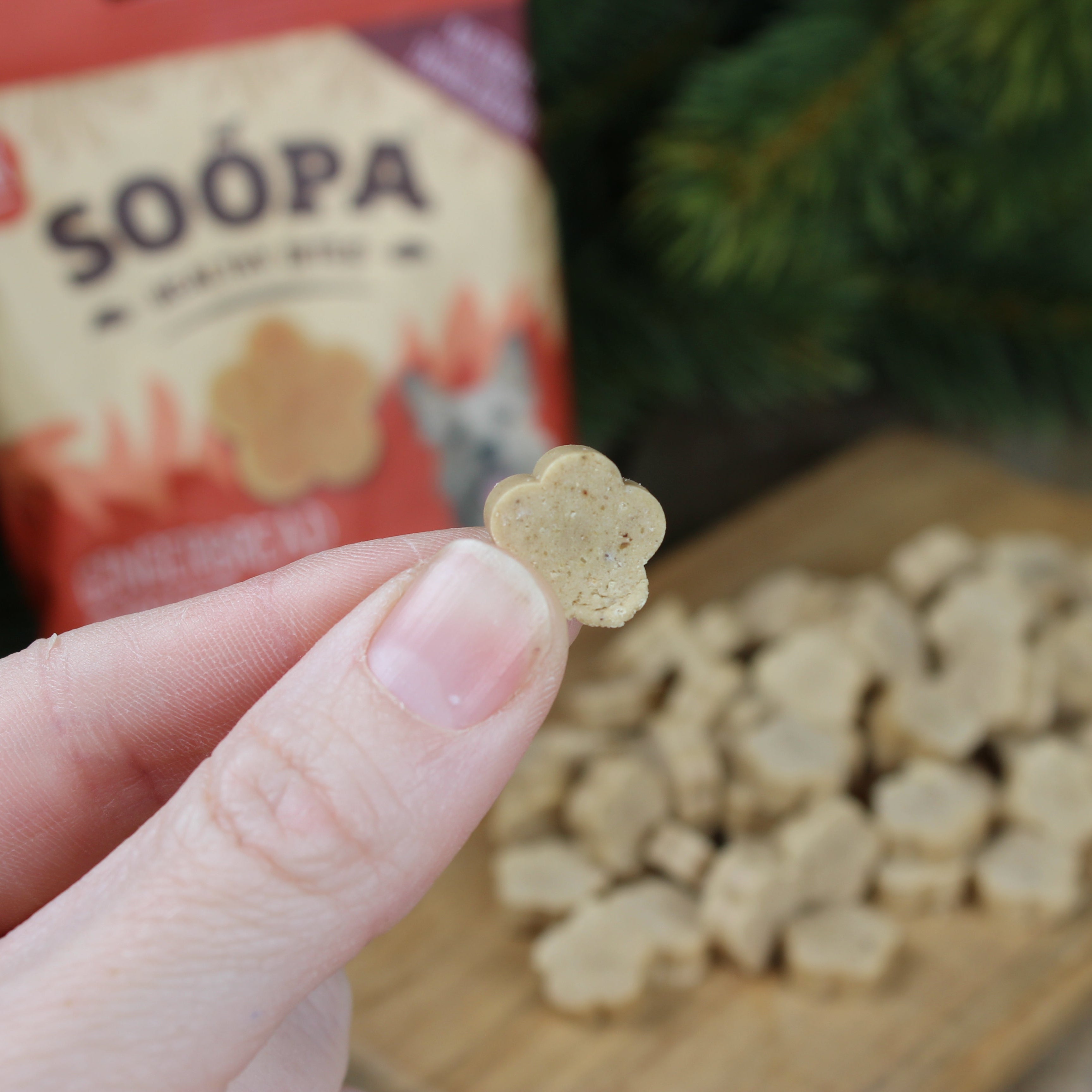 Soopa - Hundgodis | Gingerbread Biscuit, Ingerfära och tranbär (50g, 50 bitar)