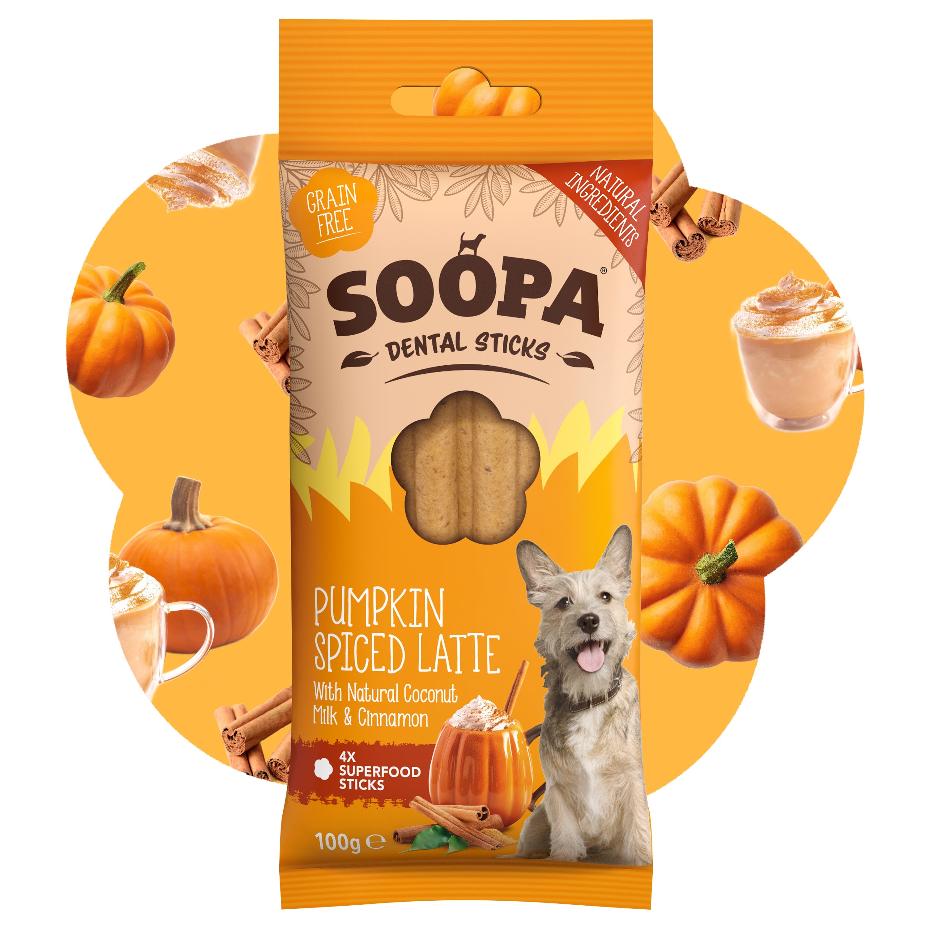 Soopa - Tuggpinnar | Pumpkin Spiced Latte - Pumpa & Kanel (4-pack)