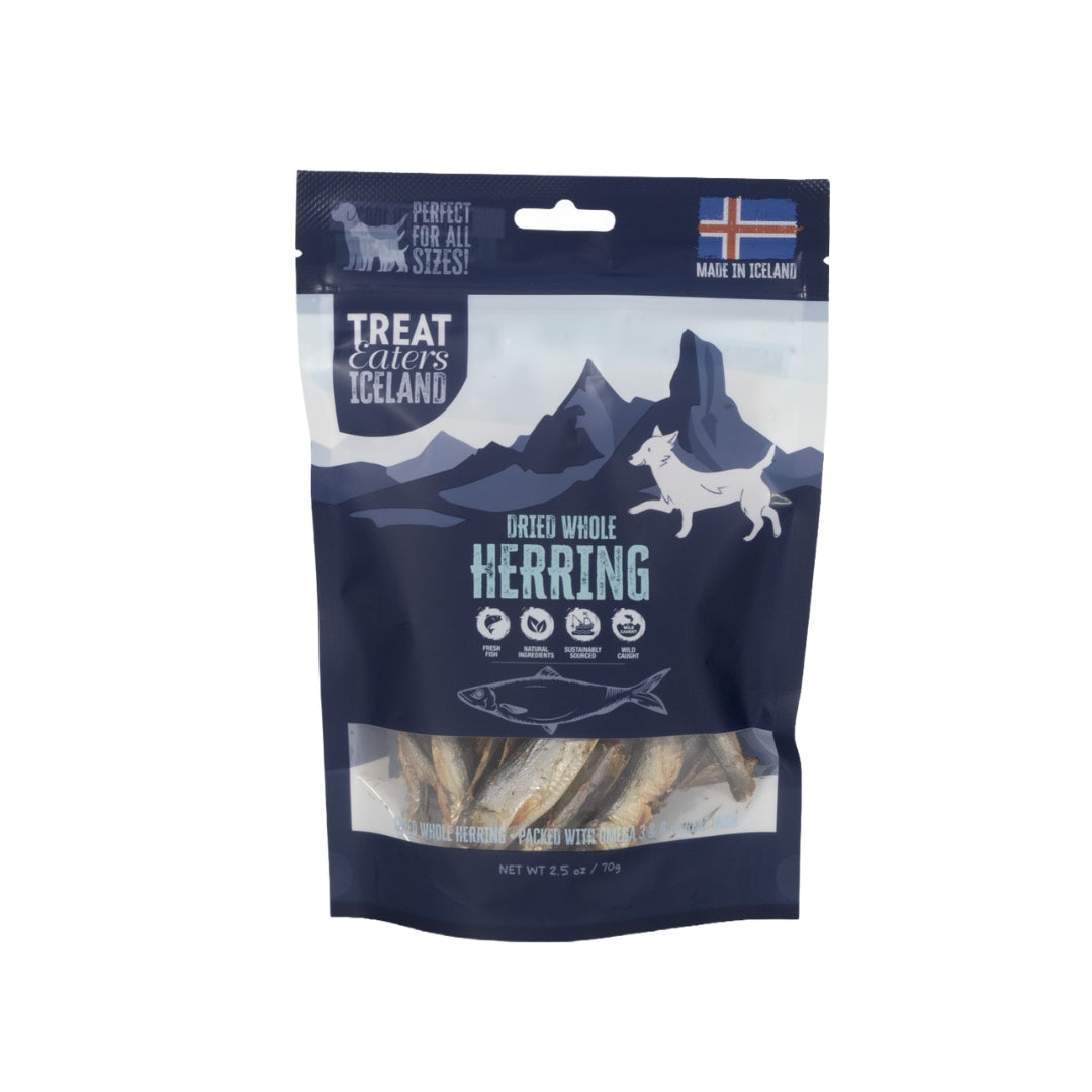 TreatEaters Iceland - Dried Whole Herring (70g)