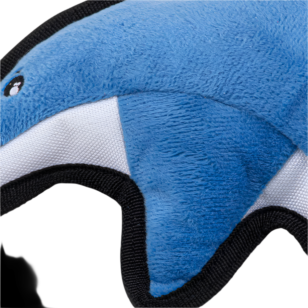 Beco - David | Tålig Delfin med pip