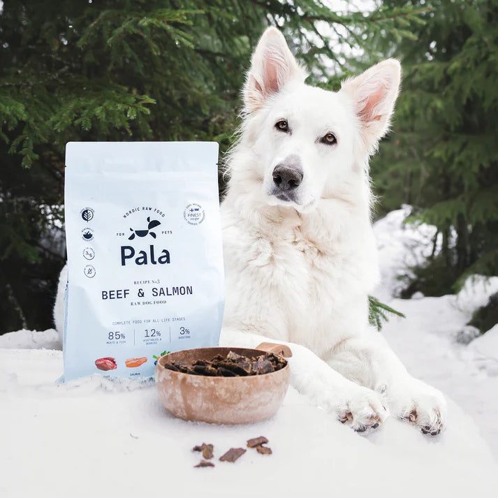 Pala - Air Dried Beef & Salmon Recipe #3