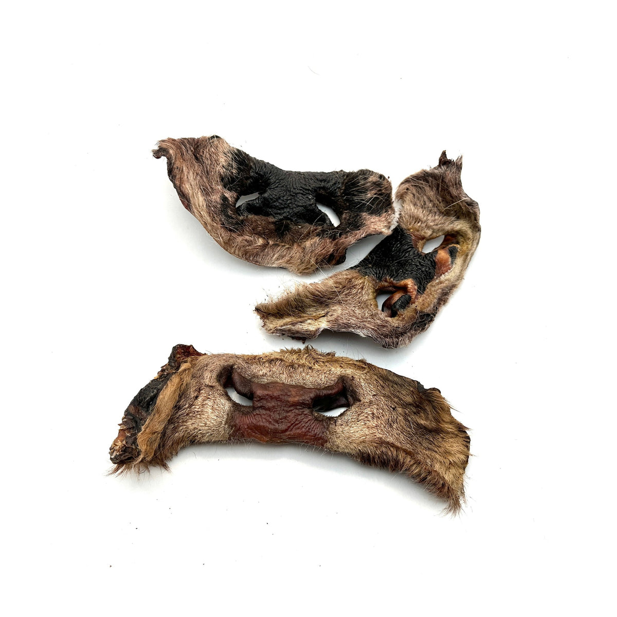 Emmzo - Svensk oxmule