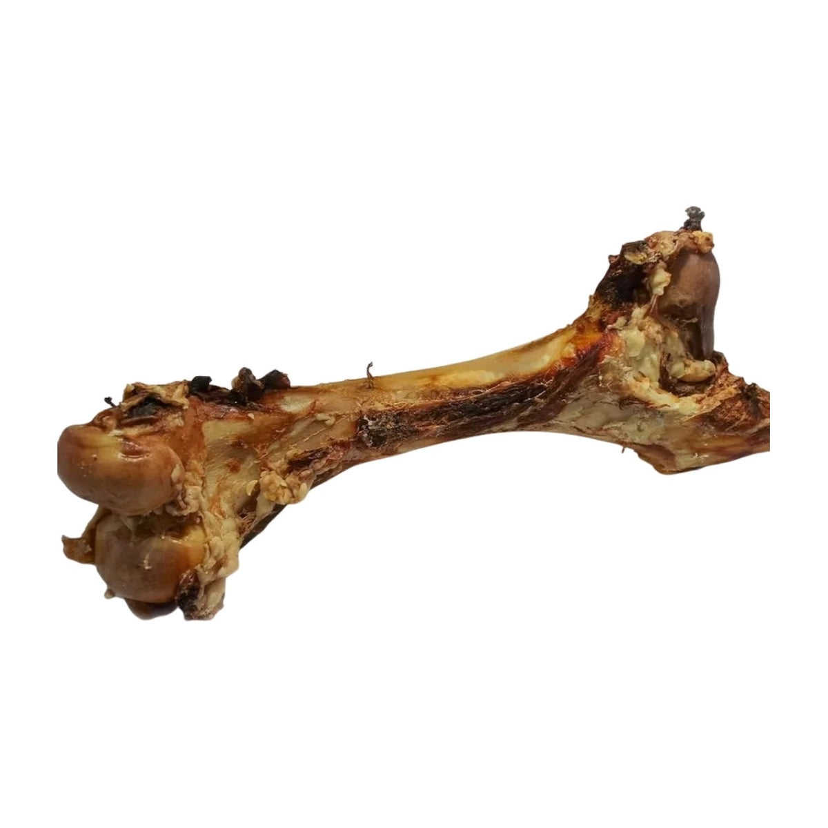 Emmzo - Svenskt oxben Gigant (40-60cm)