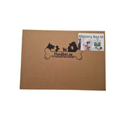 Mystery Box Medium (mellanstora raser)